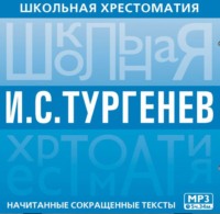 Музыкальный проект отцы и дети